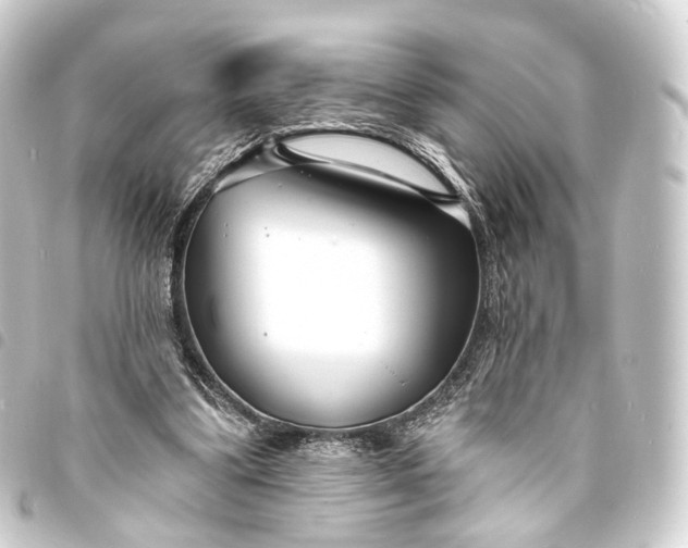 X0000093760299200710301150