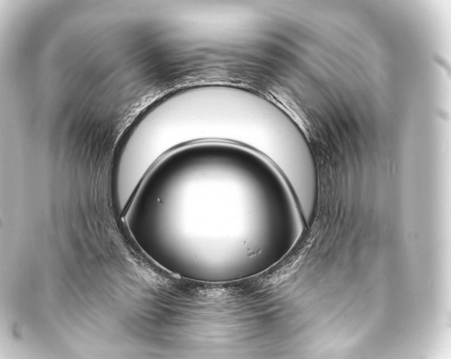 X0000093760301200710301150