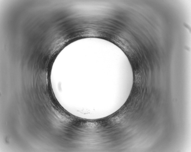 X0000093760302200710301150