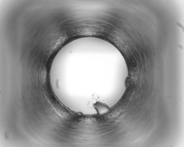 X0000093760304200710301150