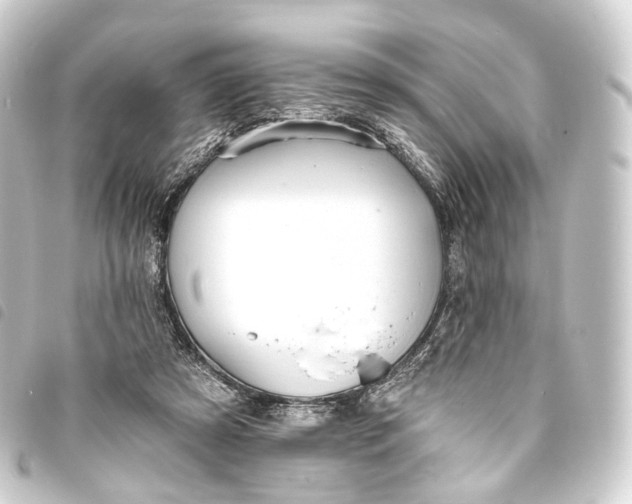 X0000093760305200710301150