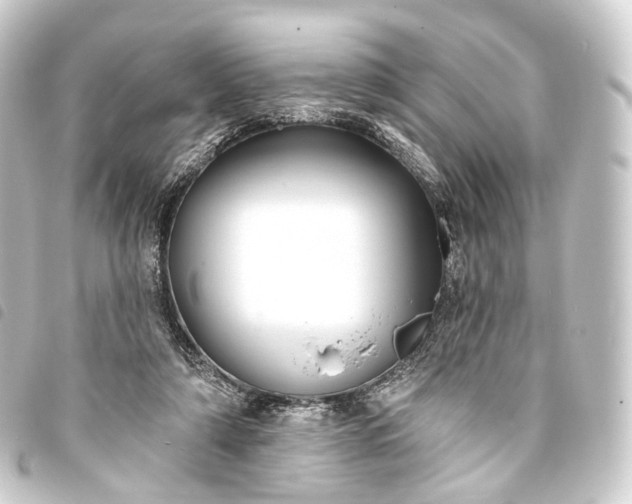 X0000093760306200710301150