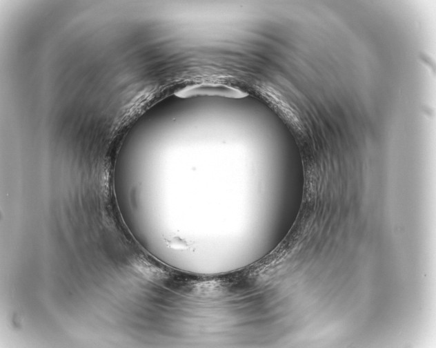 X0000093760309200710301150