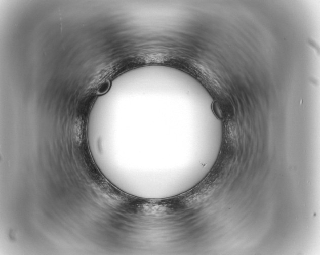 X0000093760311200710301150