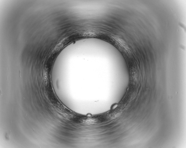 X0000093760312200710301150