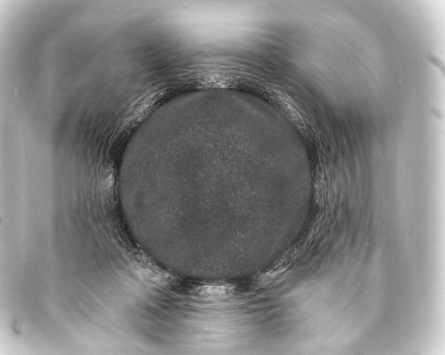 X0000093760314200710301150