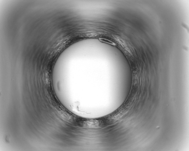 X0000093760317200710301150