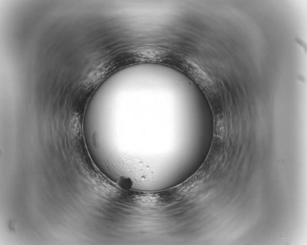 X0000093760318200710301150