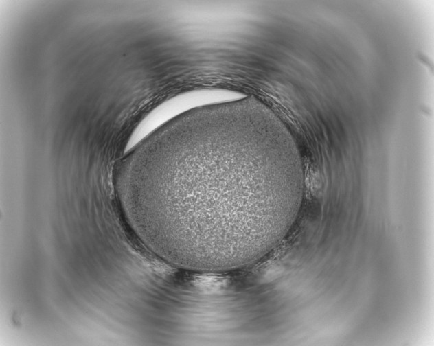 X0000093760319200710301150