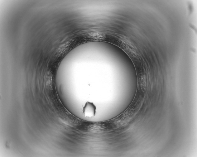 X0000093760320200710301150