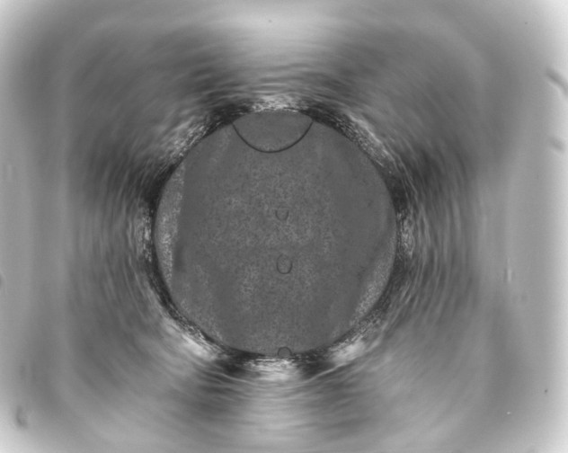 X0000093760322200710301150