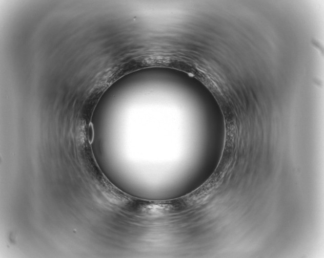 X0000093760323200710301150