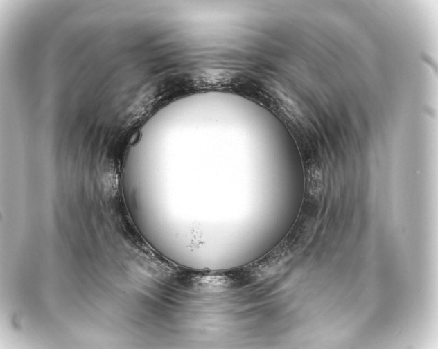 X0000093760324200710301150