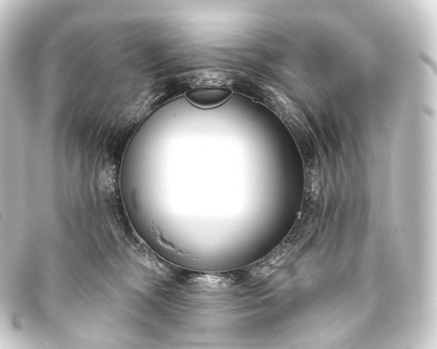 X0000093760326200710301150