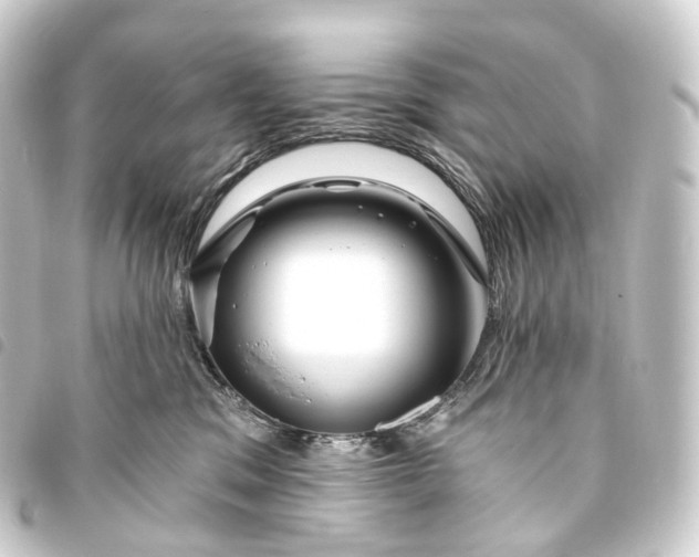 X0000093760329200710301150