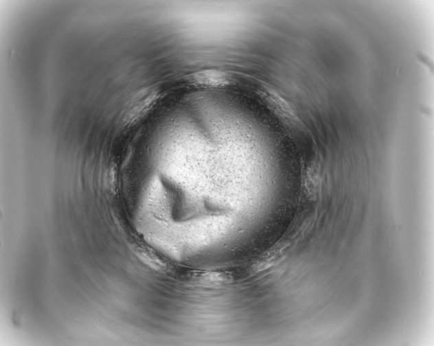 X0000093760330200710301150