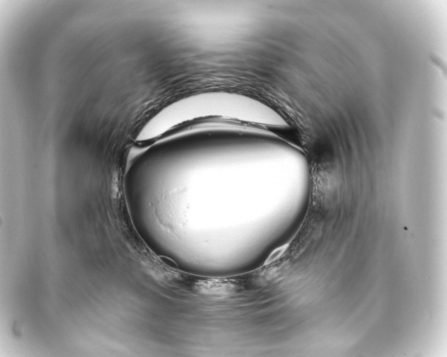 X0000093760331200710301149