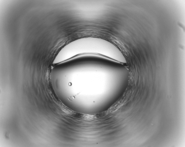 X0000093760333200710301149