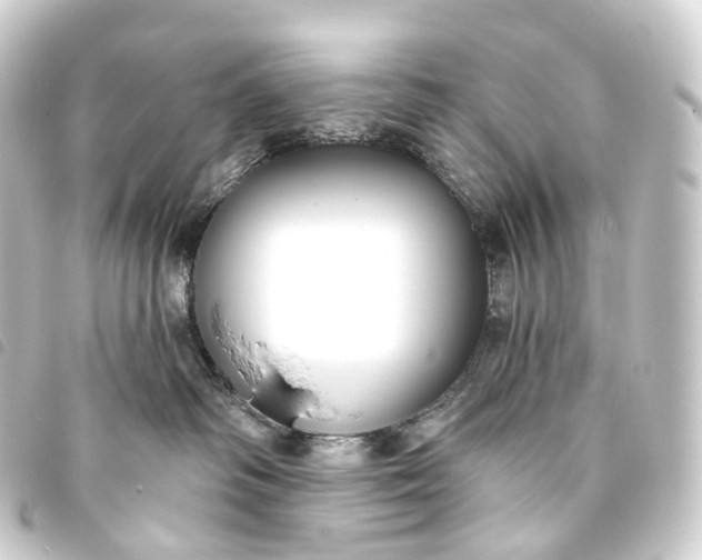 X0000093760334200710301149