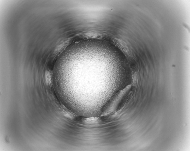 X0000093760335200710301149