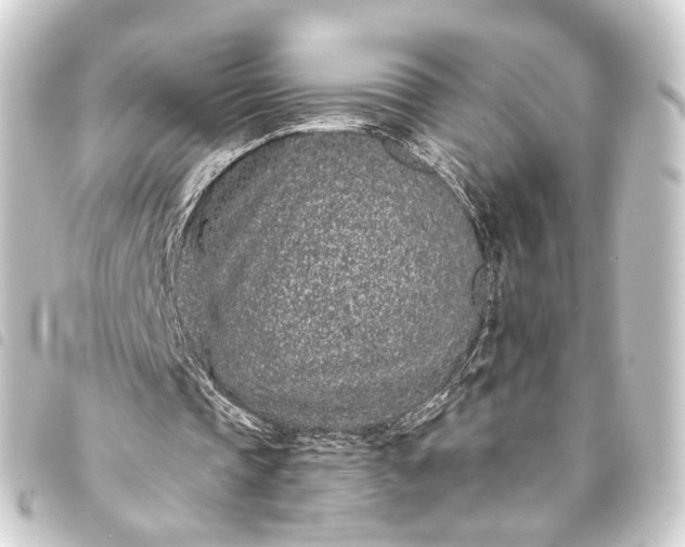 X0000093760337200710301149