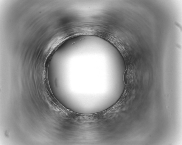 X0000093760338200710301149