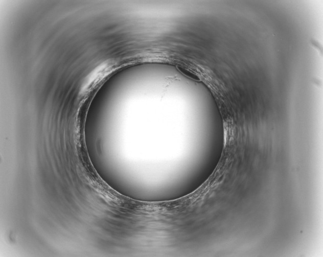 X0000093760339200710301149