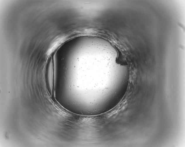 X0000093760341200710301149