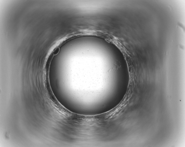 X0000093760342200710301149