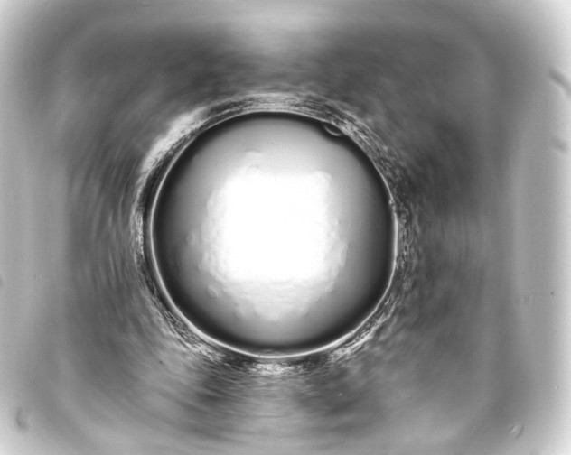 X0000093760343200710301149