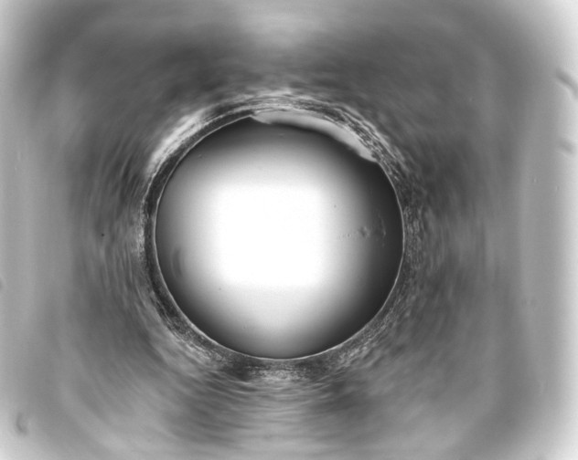 X0000093760344200710301149