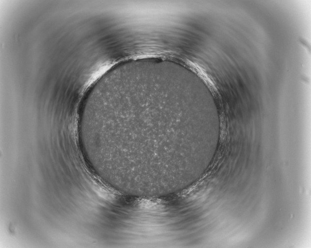 X0000093760346200710301149