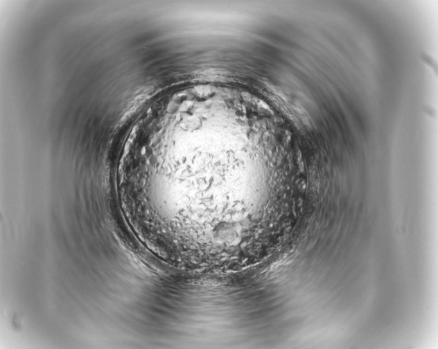 X0000093760347200710301149