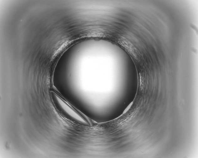 X0000093760348200710301149