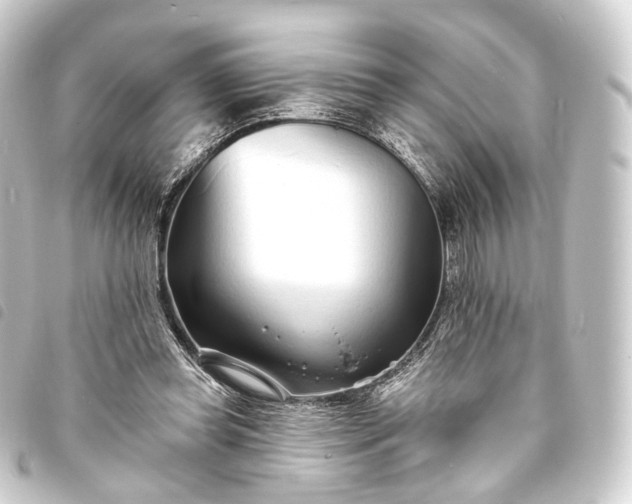 X0000093760349200710301149