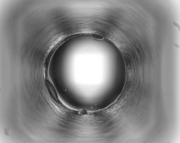 X0000093760350200710301149