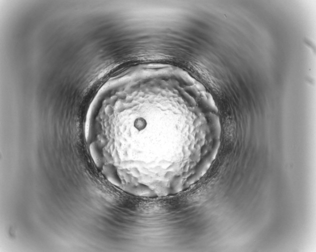 X0000093760351200710301149