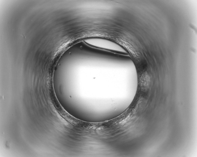 X0000093760352200710301149