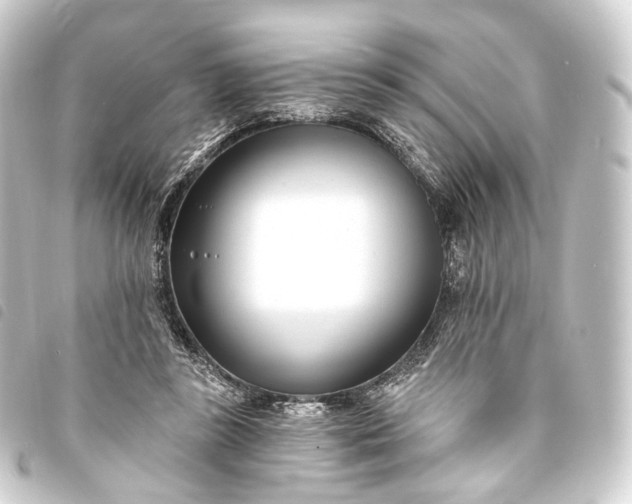 X0000093760355200710301149