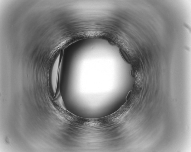 X0000093760356200710301149