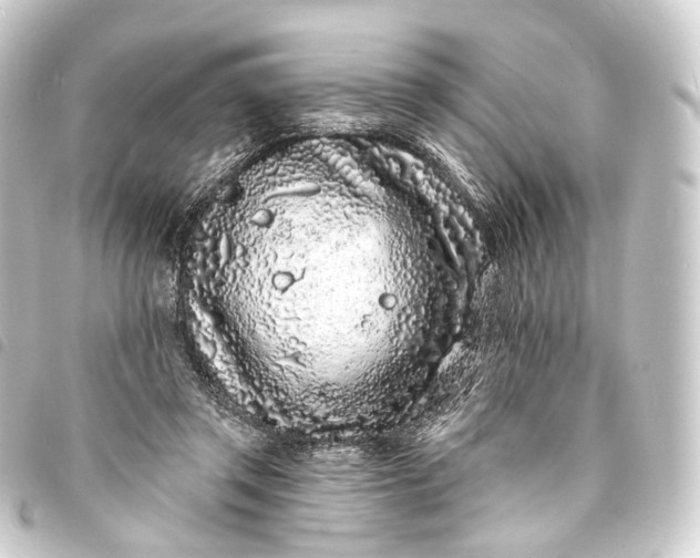 X0000093760357200710301149