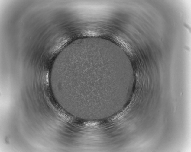 X0000093760358200710301149