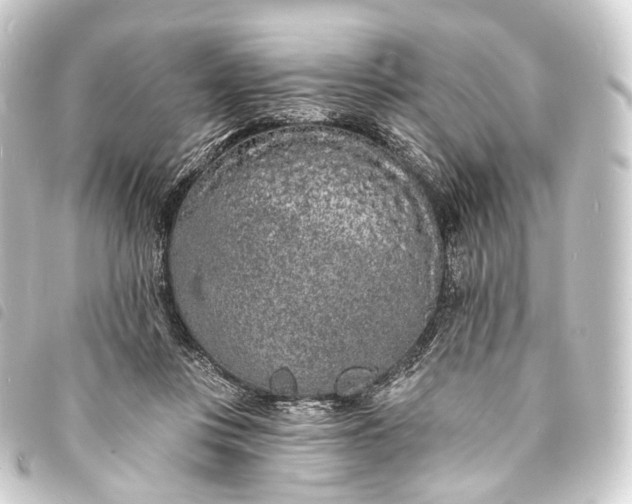 X0000093760359200710301149