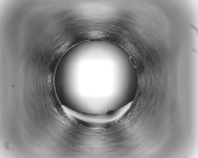 X0000093760360200710301149