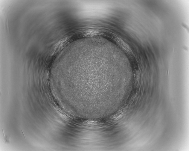 X0000093760361200710301149