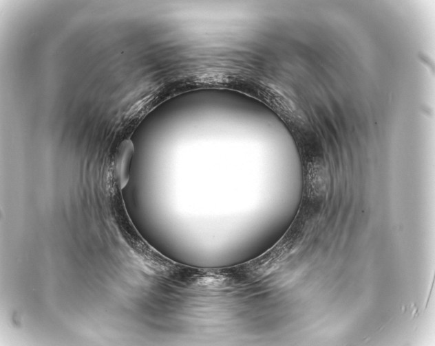 X0000093760364200710301149