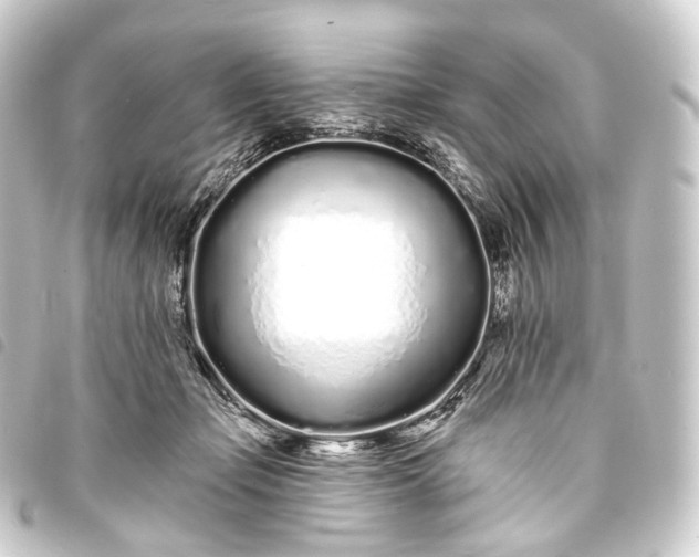 X0000093760365200710301149