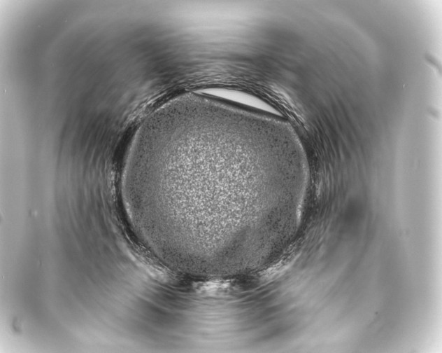 X0000093760366200710301149