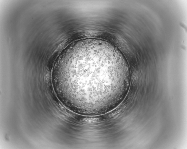 X0000093760367200710301149