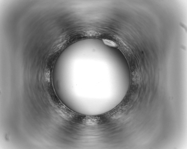 X0000093760368200710301149